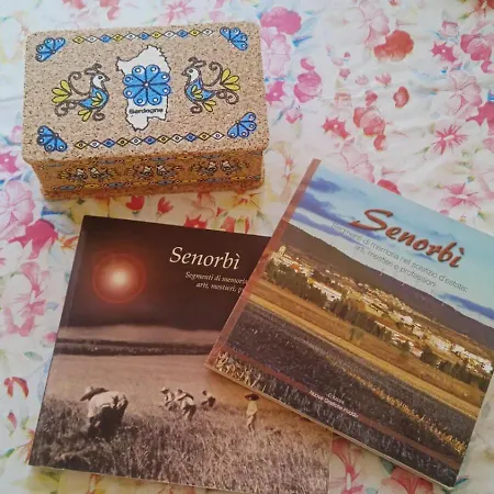 Sa Ziminera Apartamento